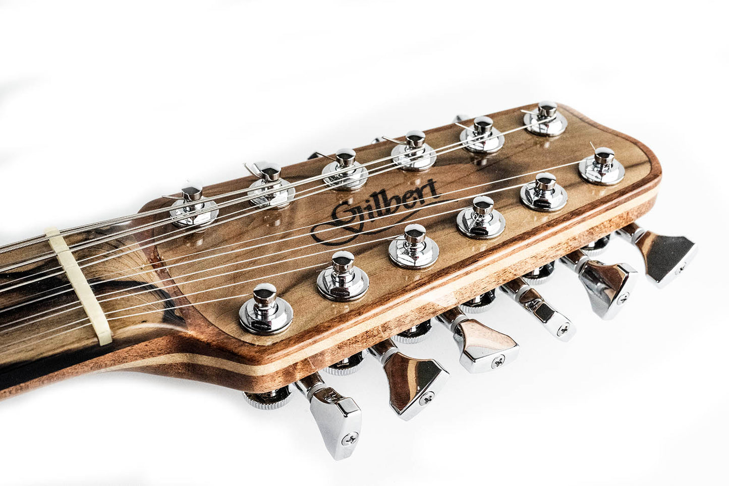 Sassafras 12 String B.G.